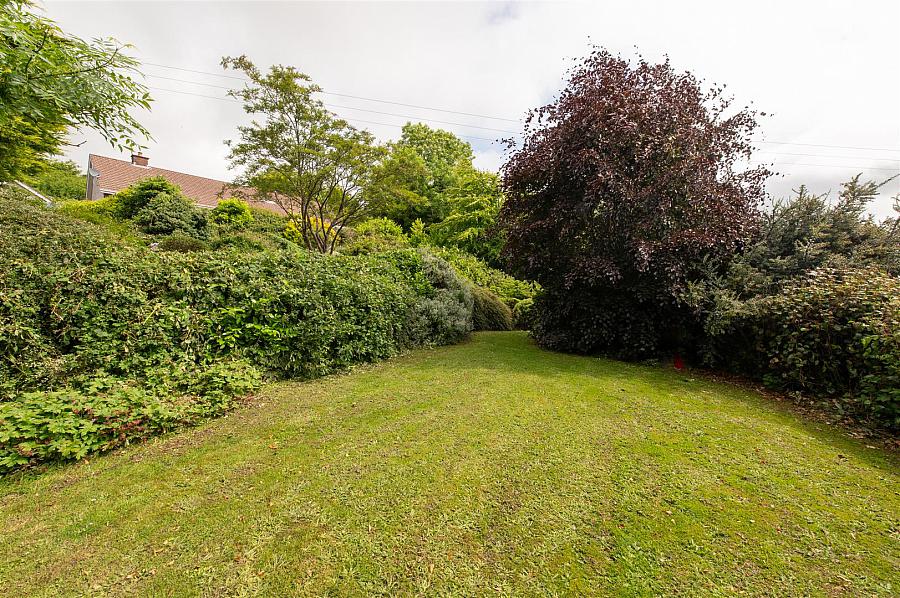 24 Ballynahinch Road