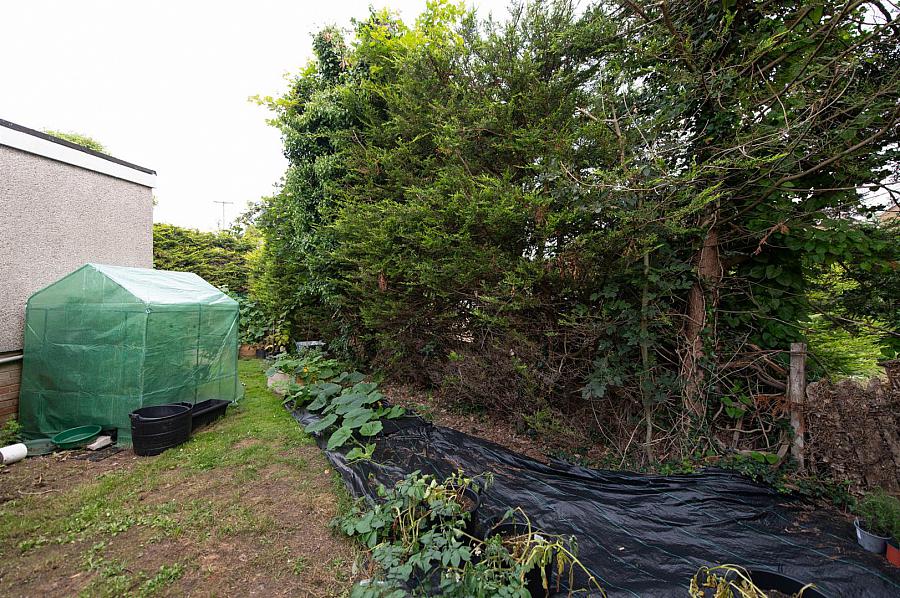 3 Moyra Close