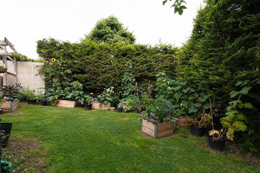 3 Moyra Close