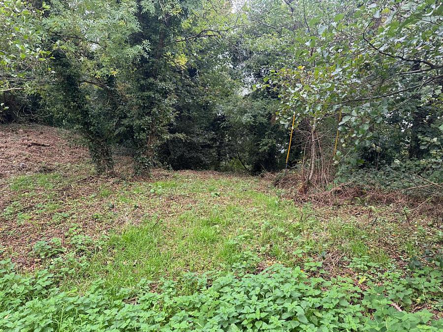 Site 2 Between 12 & 20 Raleagh Road