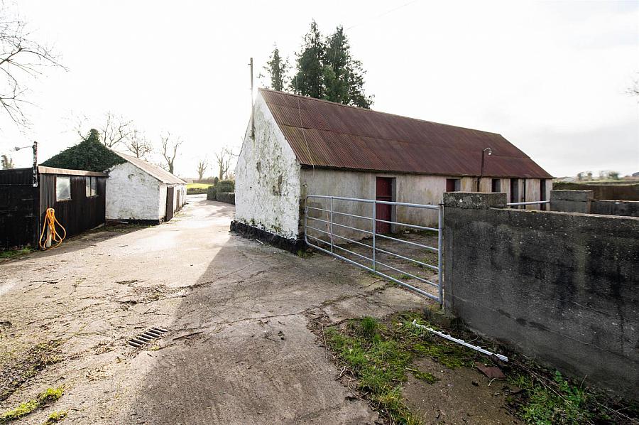 146 Loughinisland Road