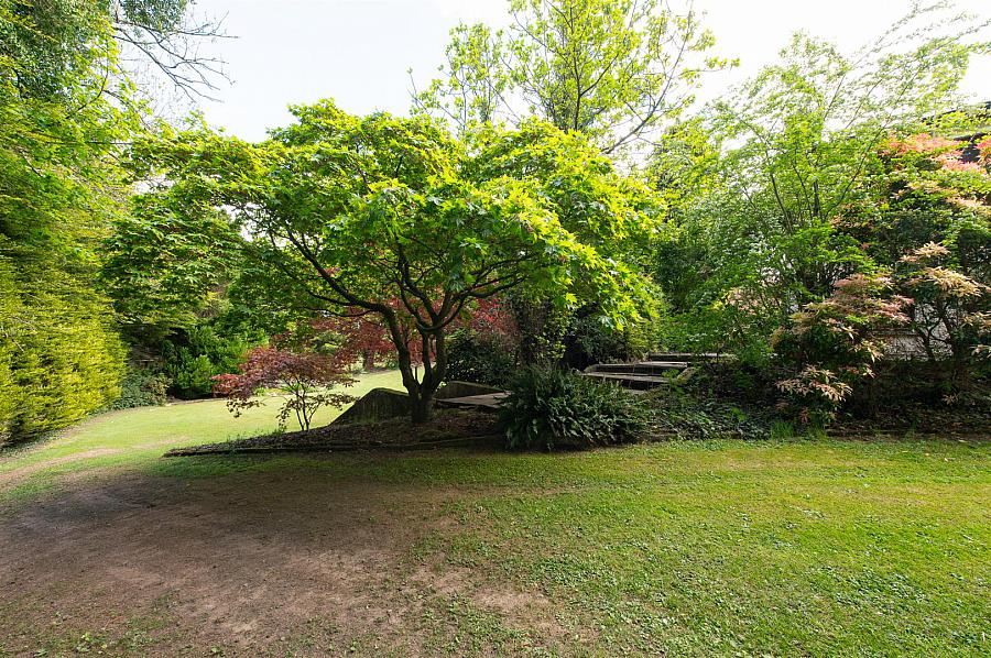 19 Brae Road