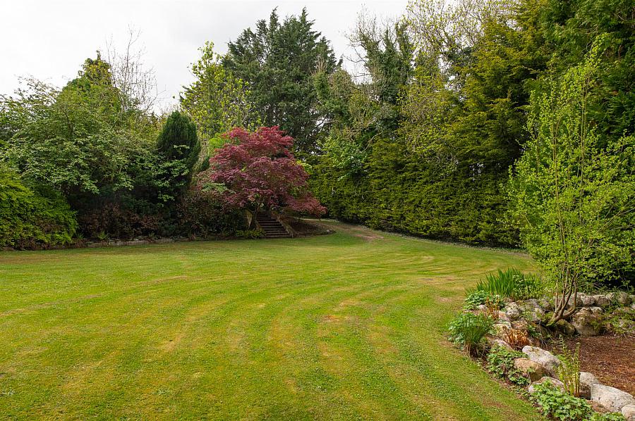 19 Brae Road