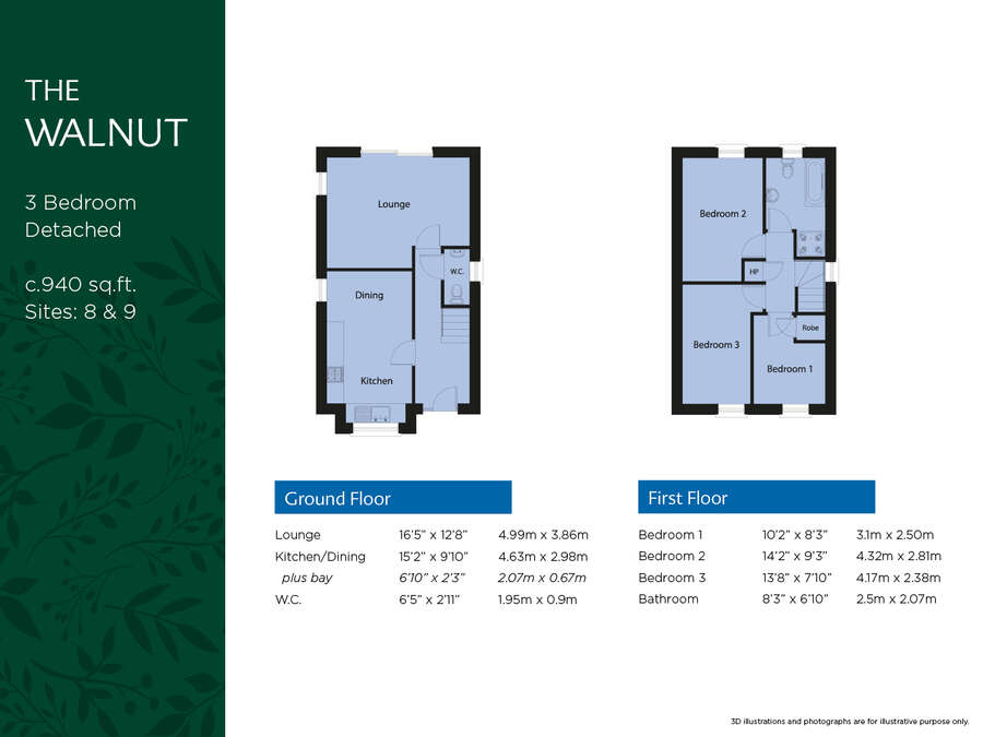 The Walnut , Site 8 Slieve Cairn View