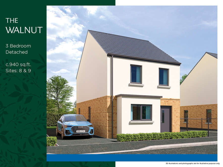 The Walnut , Site 8 Slieve Cairn View