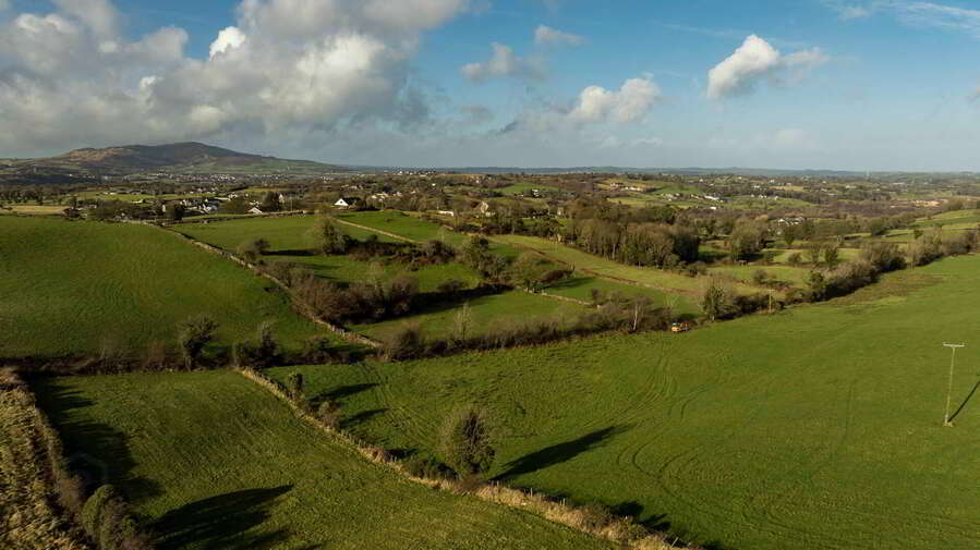 8 Carrogs Lane