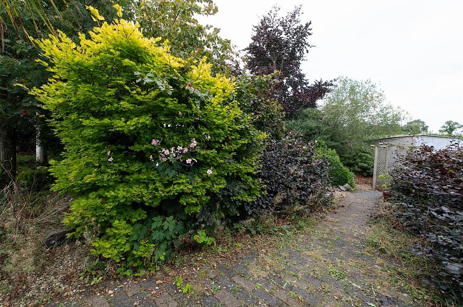 81 Poyntzpass Road