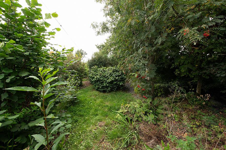 81 Poyntzpass Road