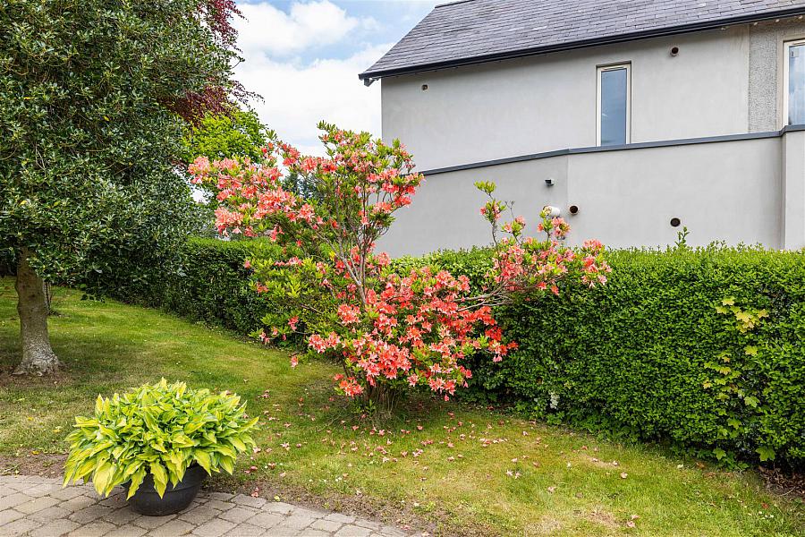 29 Newry Road