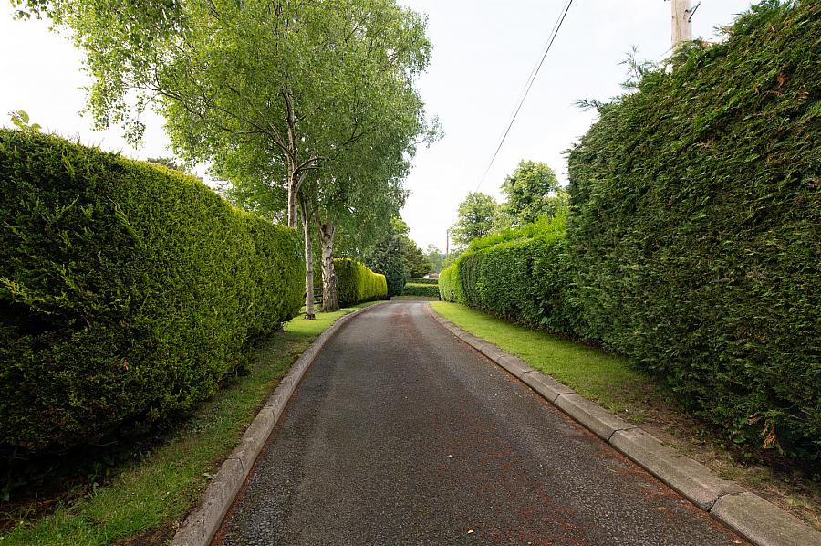 252a & 252b Castlewellan Road