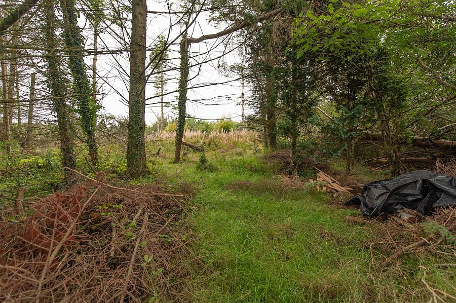 362 Glassdrumman Road