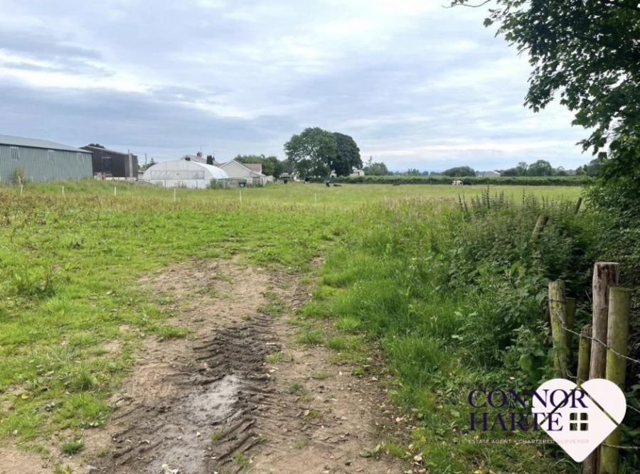 21A Kilmascally Road