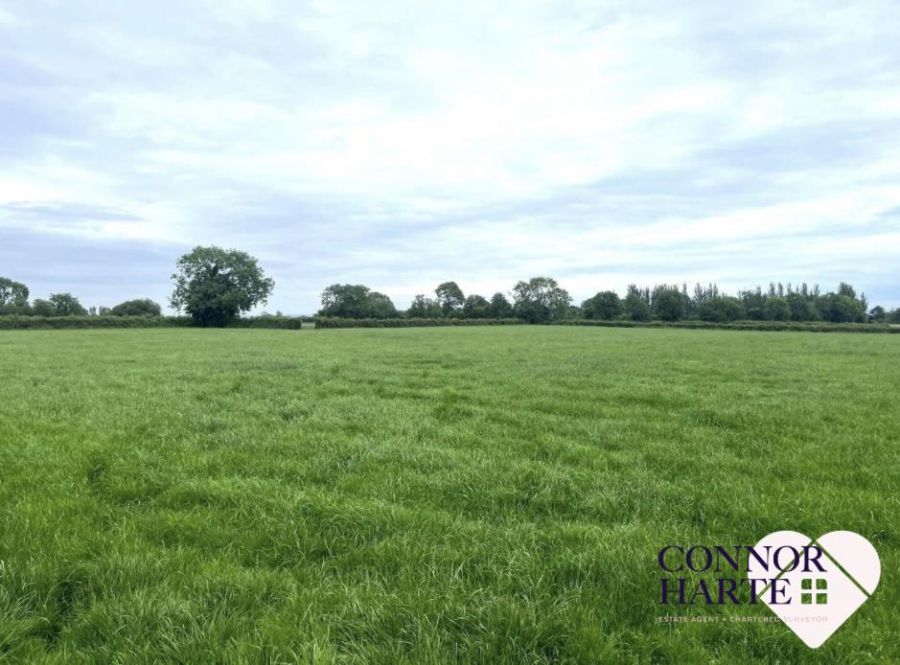 21A Kilmascally Road