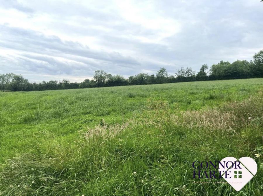 21A Kilmascally Road