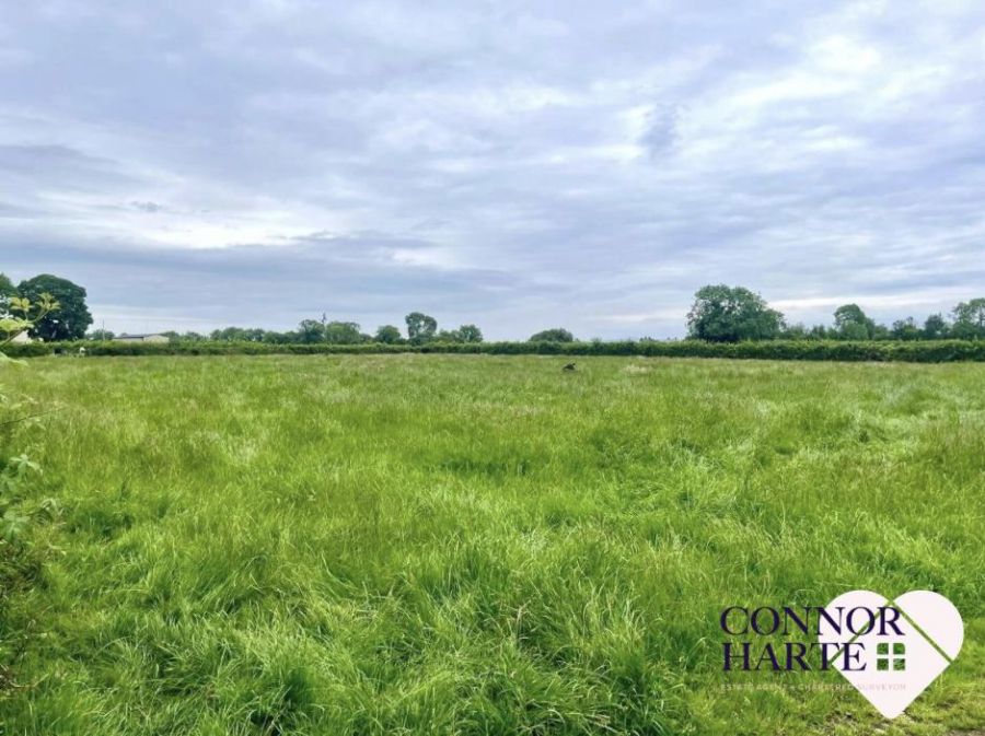 21A Kilmascally Road