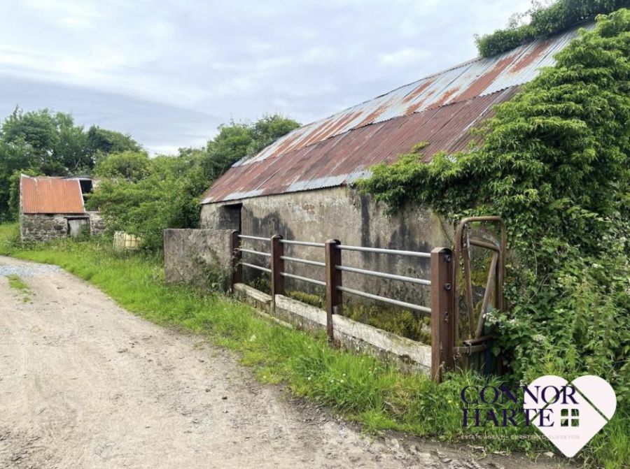 21A Kilmascally Road