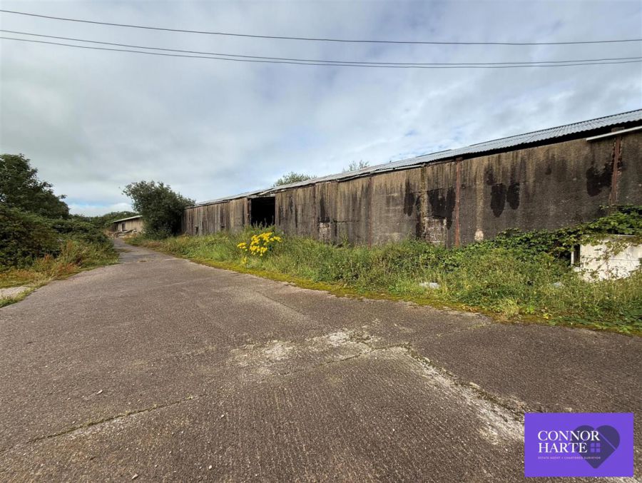 Circa 10 Acres At Drum Road