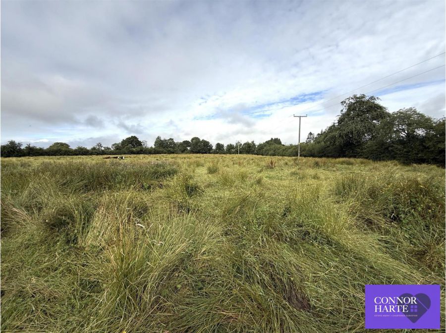 Circa 10 Acres At Drum Road