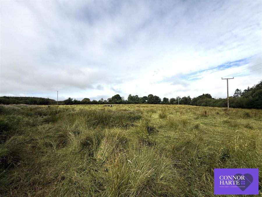 Circa 10 Acres At Drum Road