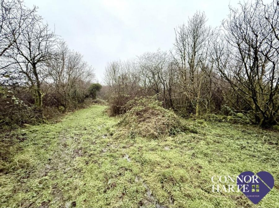 C. 15.2 Acres Feegarran Road