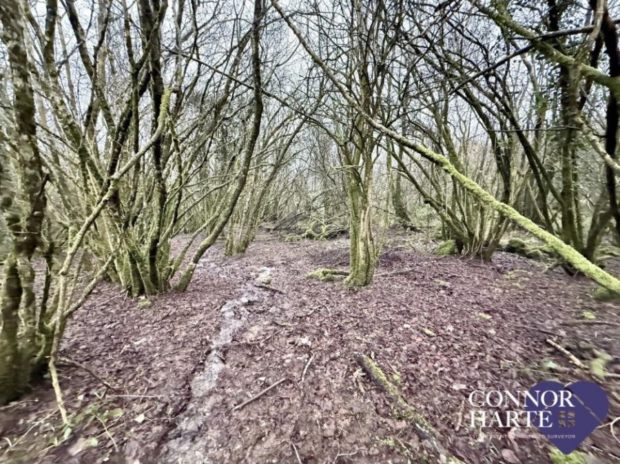 Lands At (C. 15.2 Acres) Feegarran Road