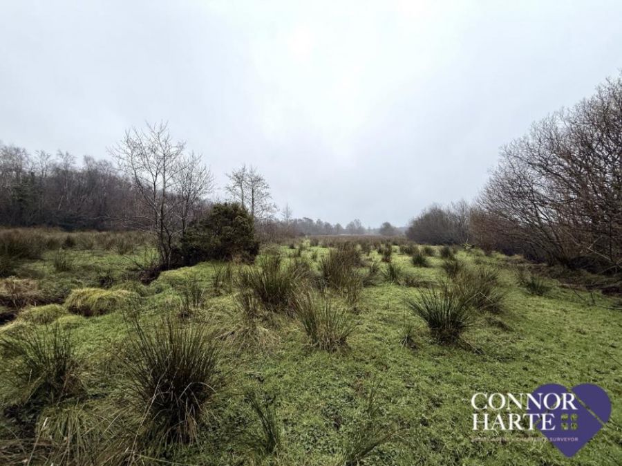 Lands At (C. 15.2 Acres) Feegarran Road