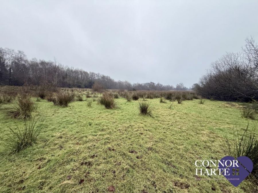 C. 15.2 Acres Feegarran Road