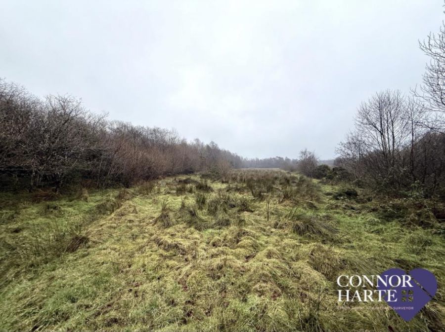 C. 15.2 Acres Feegarran Road