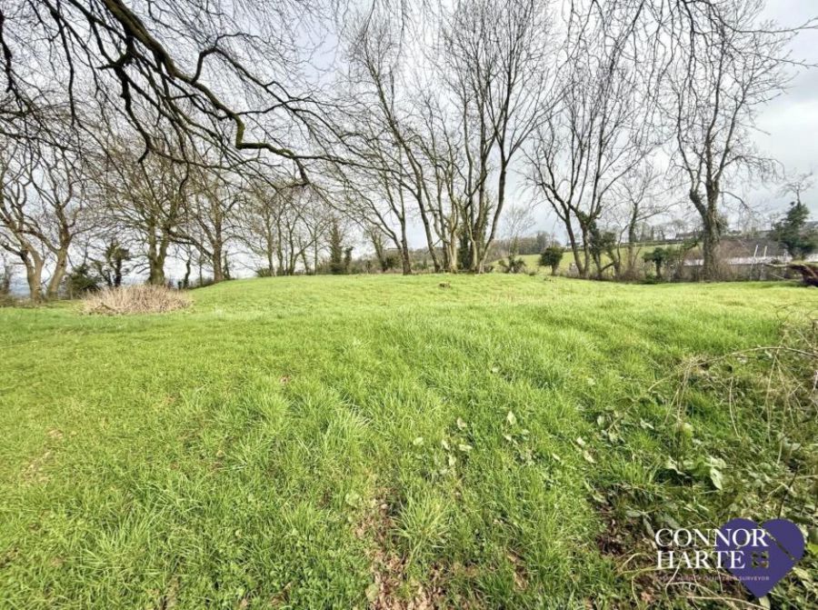 Lands At Springhill Road