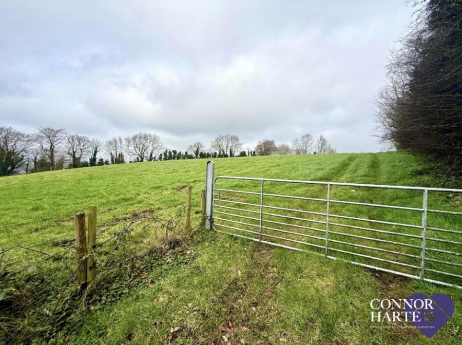 Lands At Springhill Road