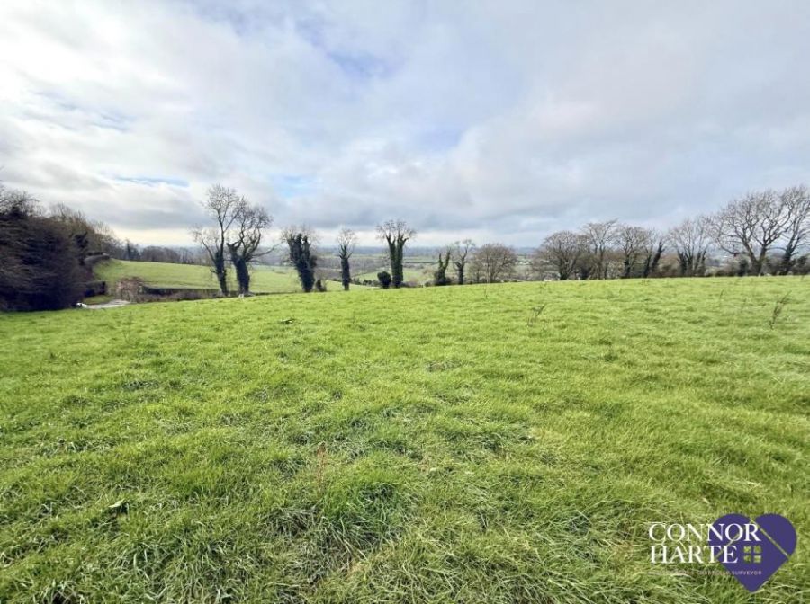 Lands At Springhill Road