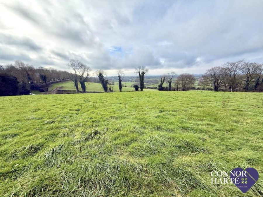 Lands At Springhill Road