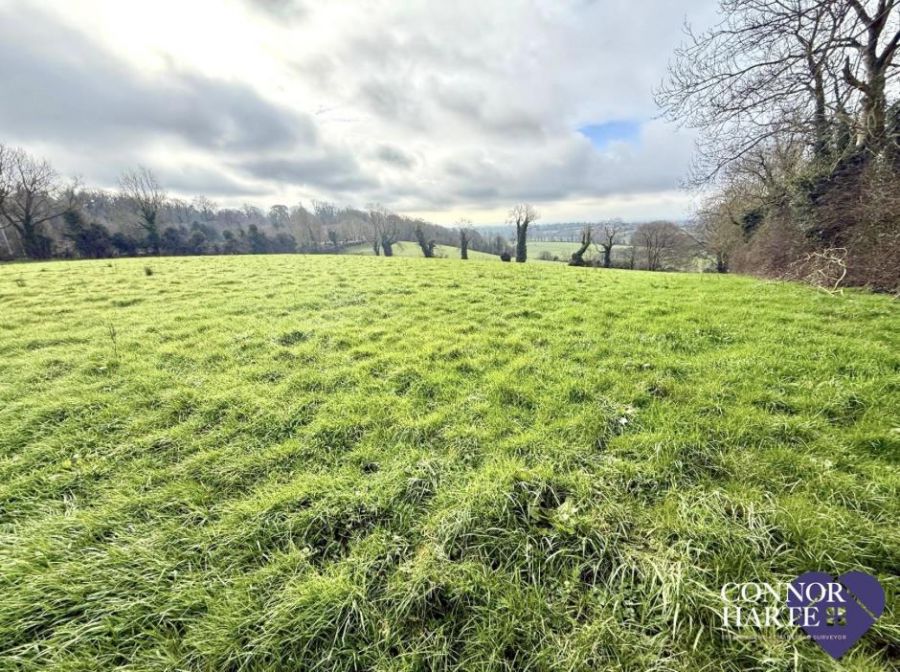 Lands At Springhill Road