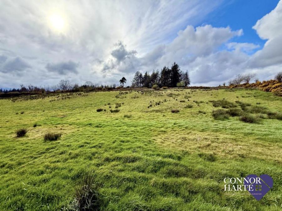 Lands At Gortscraheen/Loughnamarve