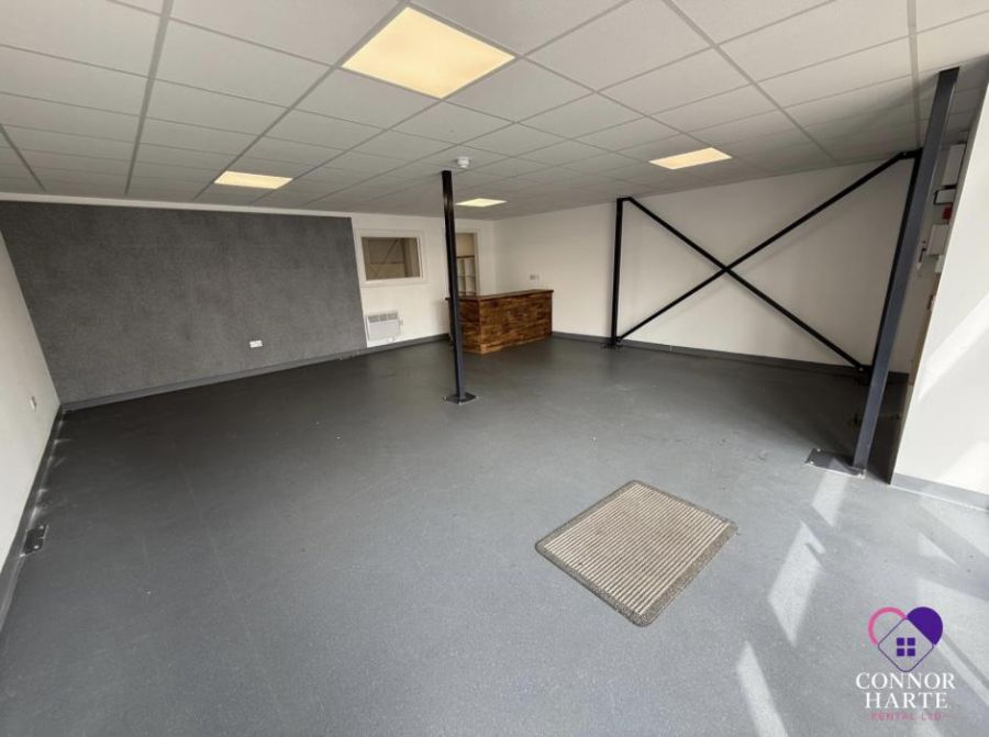 Unit 4, 31A Dungannon Road
