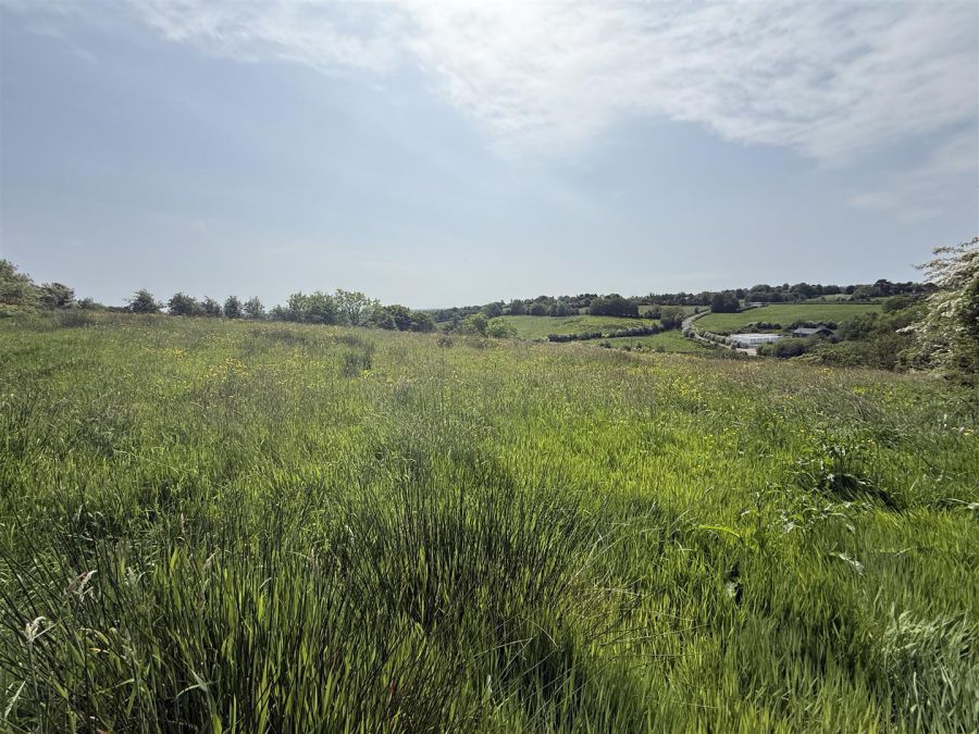 Lands At 23 Edendork Road