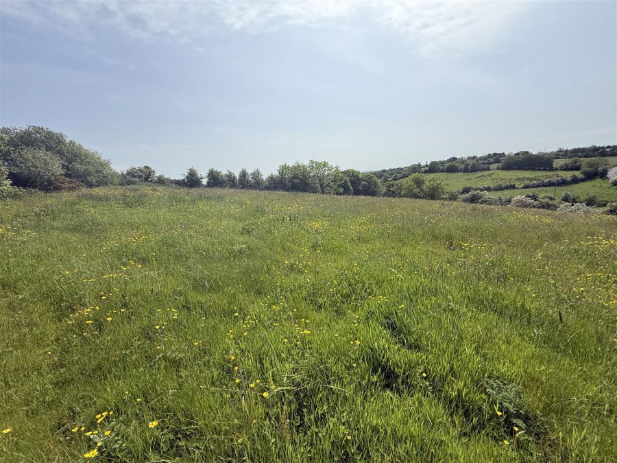 Lands At 23 Edendork Road