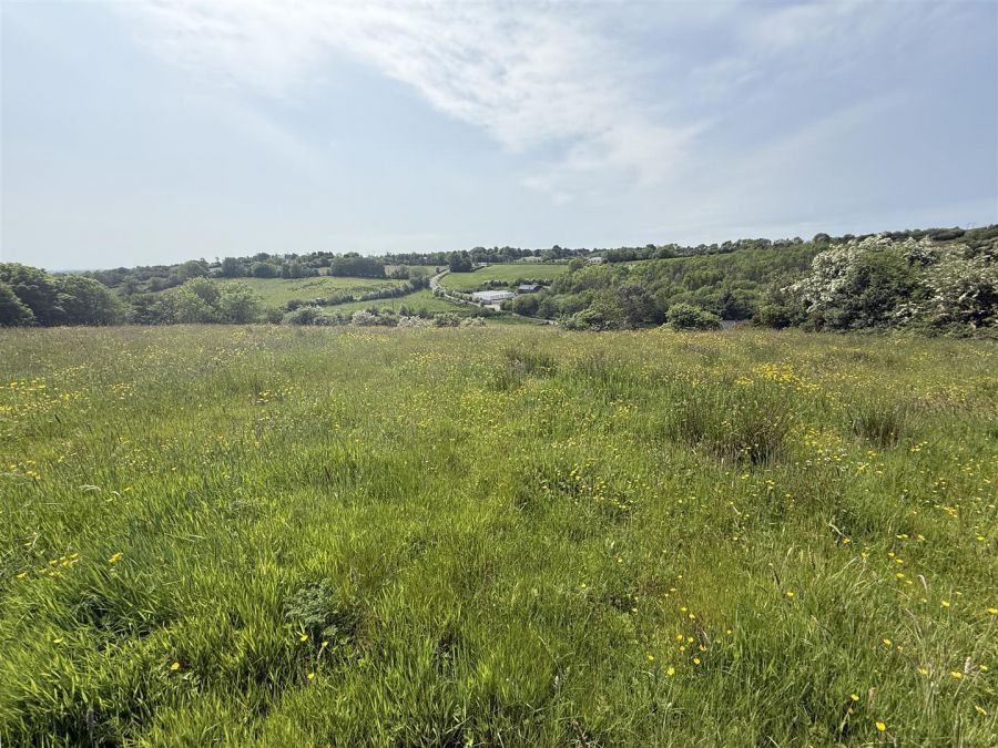 Lands At 23 Edendork Road