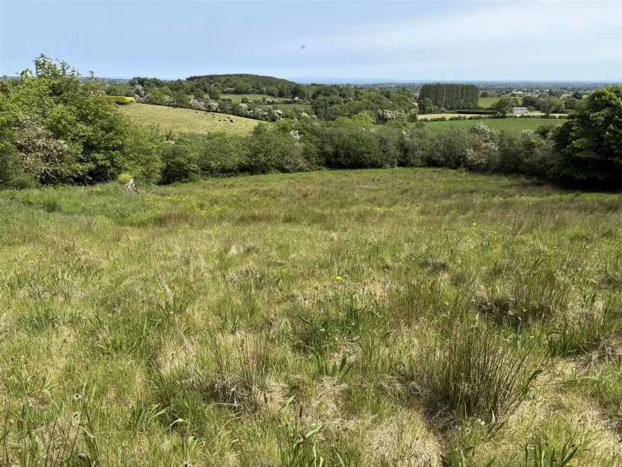 Lands At 23 Edendork Road