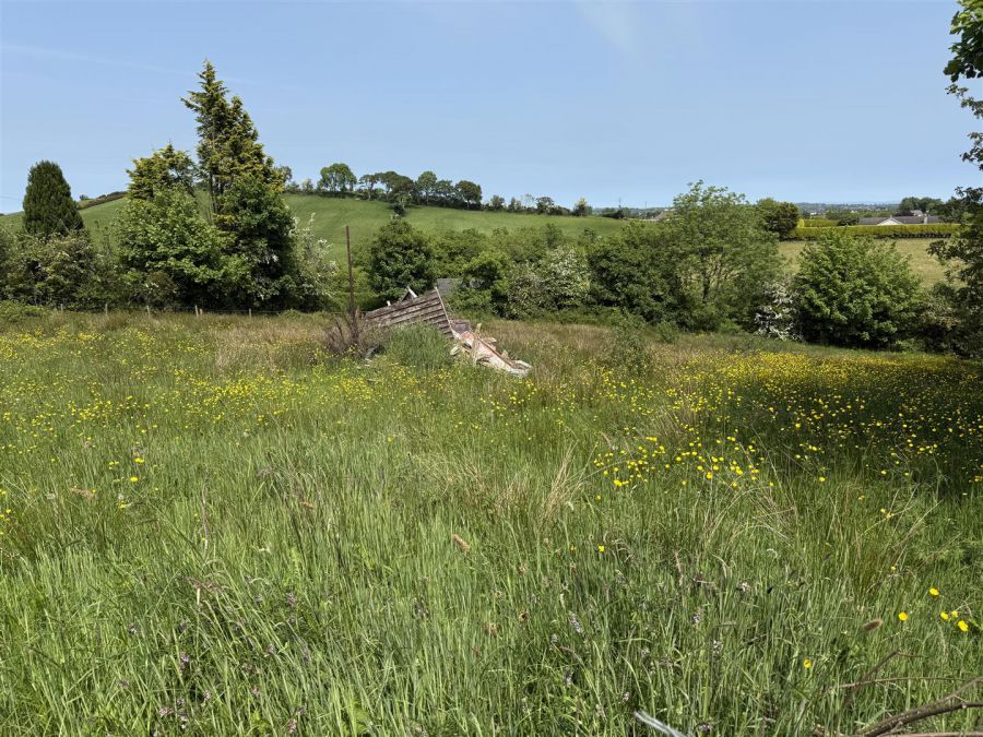Lands At 23 Edendork Road