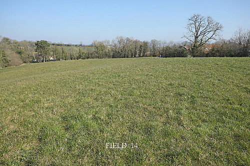 Opp. 52A Killyblight Road