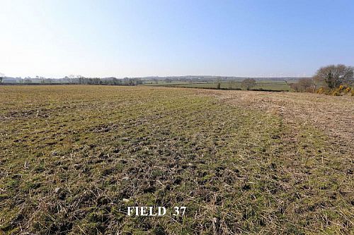 Opp. 52A Killyblight Road