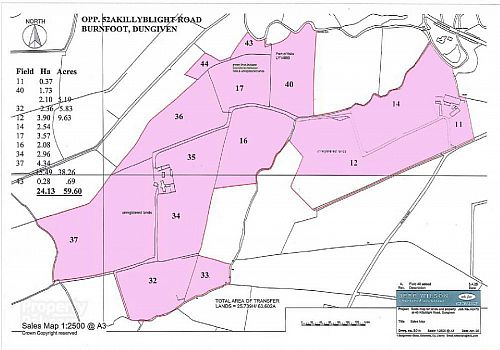 Opp. 52A Killyblight Road