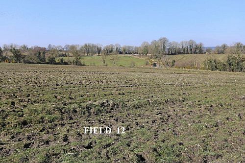 Opp. 52A Killyblight Road