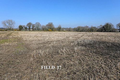 Opp. 52A Killyblight Road