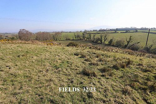 Opp. 52A Killyblight Road