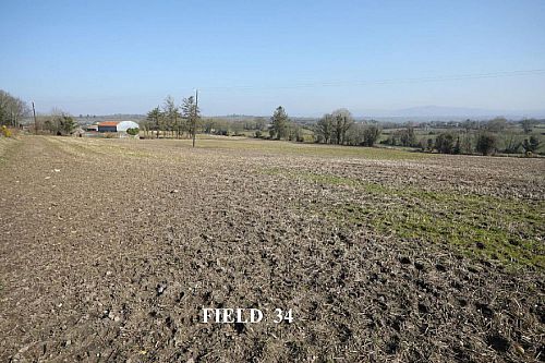 Opp. 52A Killyblight Road