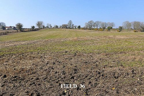 Opp. 52A Killyblight Road