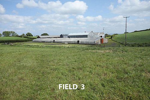 55 Craignageeragh Road