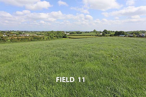 55 Craignageeragh Road